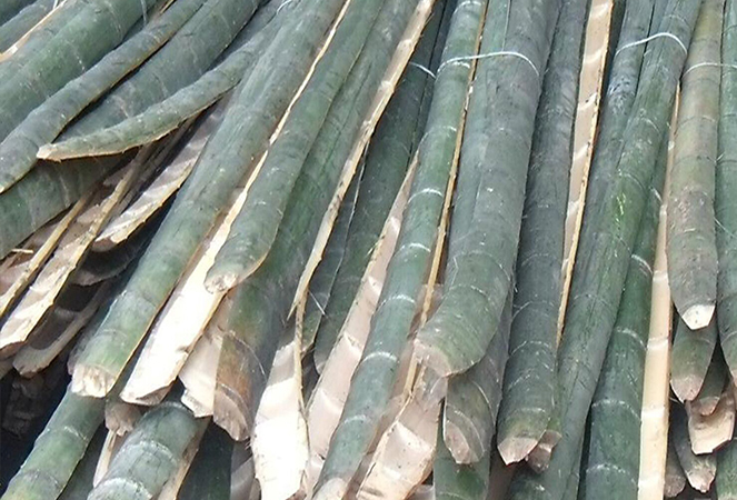 Ningguo Kuntai Bamboo and Wood Co., Ltd.